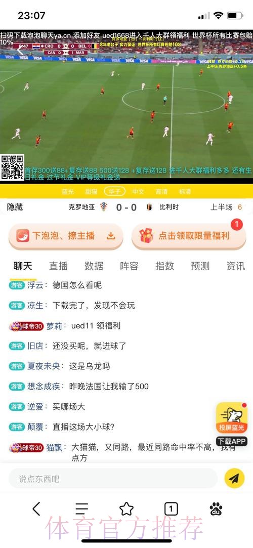世界杯投注软件官方平台使用指南与安全性评估
