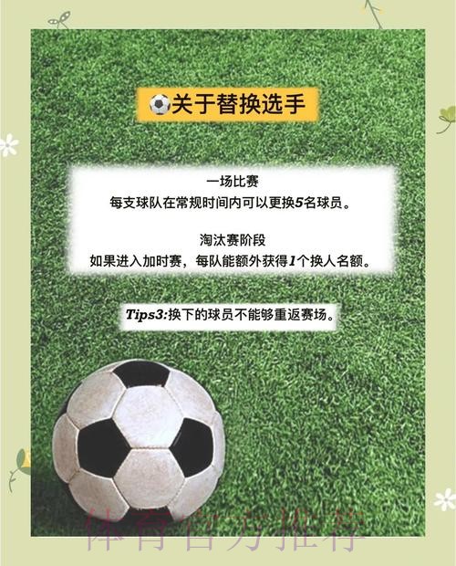 免费版世界杯投注新手指南 免费版世界杯投注新手指南